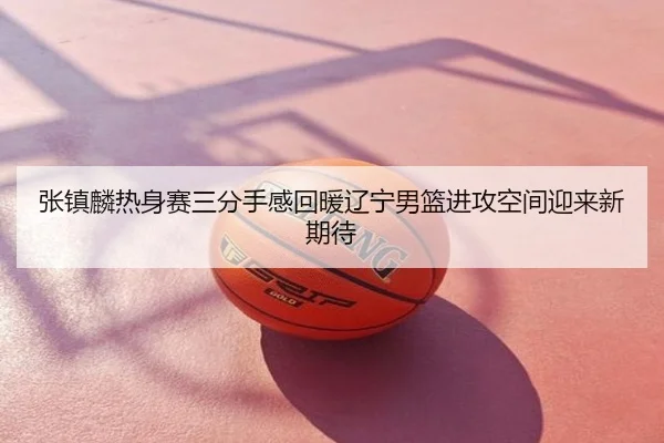 张镇麟热身赛三分手感回暖辽宁男篮进攻空间迎来新期待