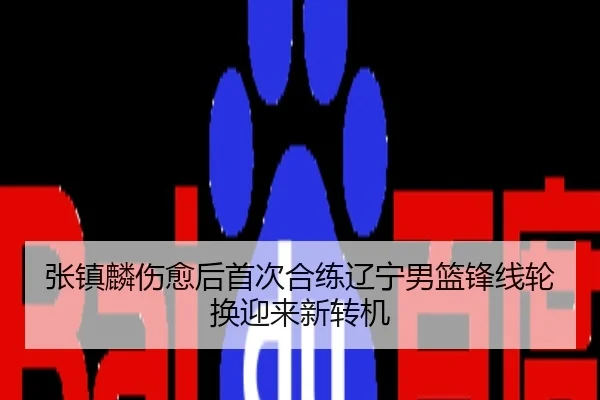张镇麟伤愈后首次合练辽宁男篮锋线轮换迎来新转机