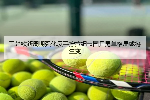 王楚钦新周期强化反手拧拉细节国乒男单格局或将生变