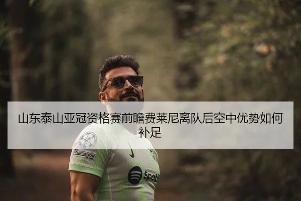 山东泰山亚冠资格赛前瞻费莱尼离队后空中优势如何补足